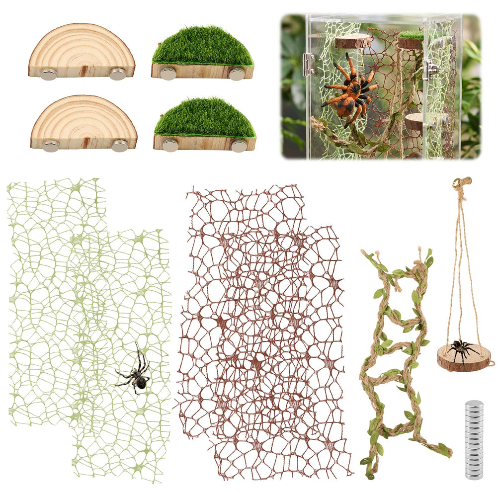 wextuvially mise en situation lifestyle terrarium aménagé stimulant activité