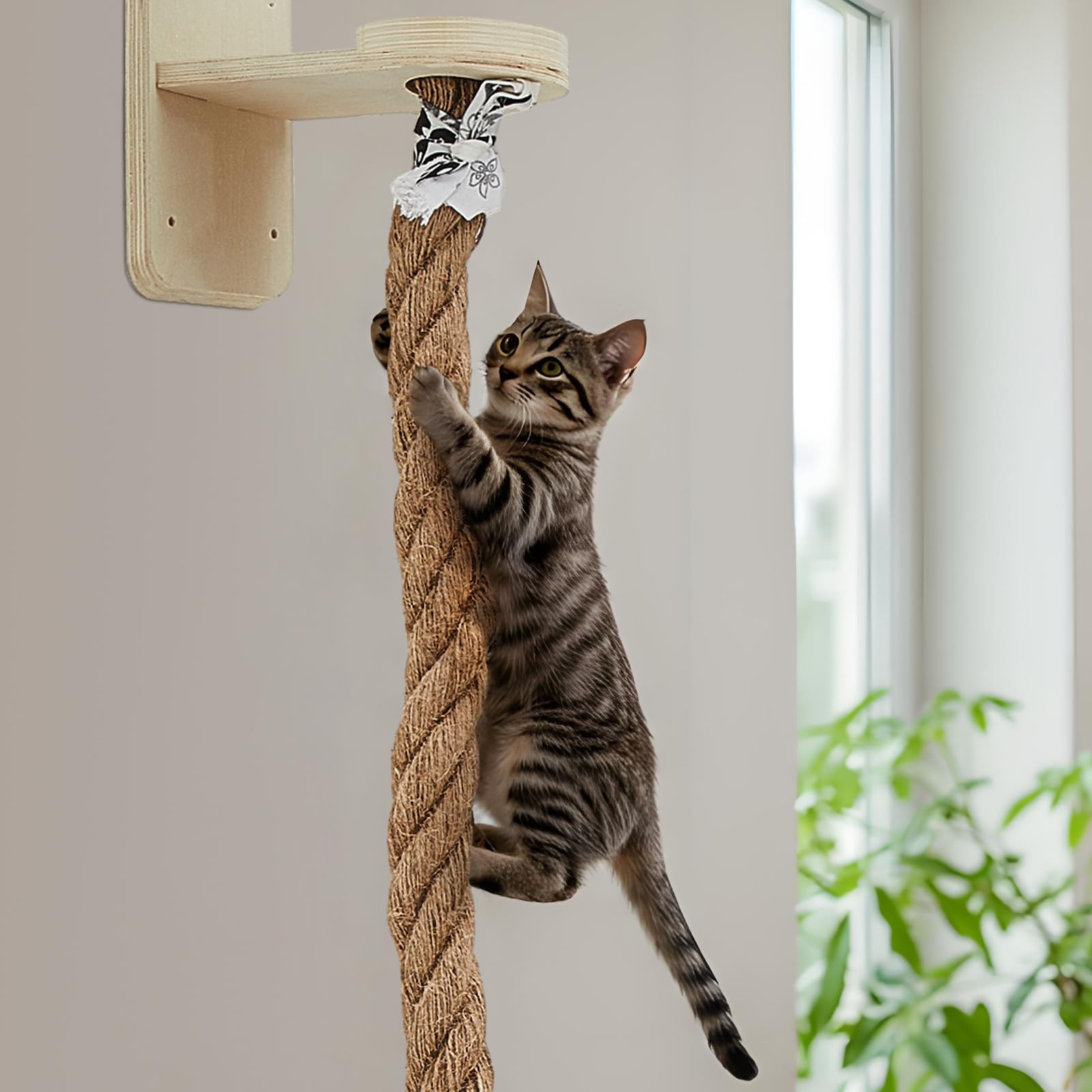 Weysat focus sur jouet souris en peluche encourageant le jeu et l'exercice