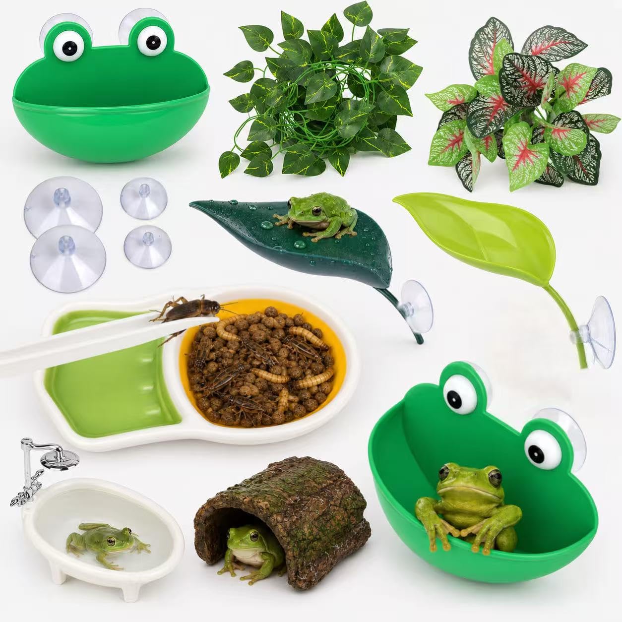 WFlONG vue d'ensemble du kit pour terrarium bénéfice organisation