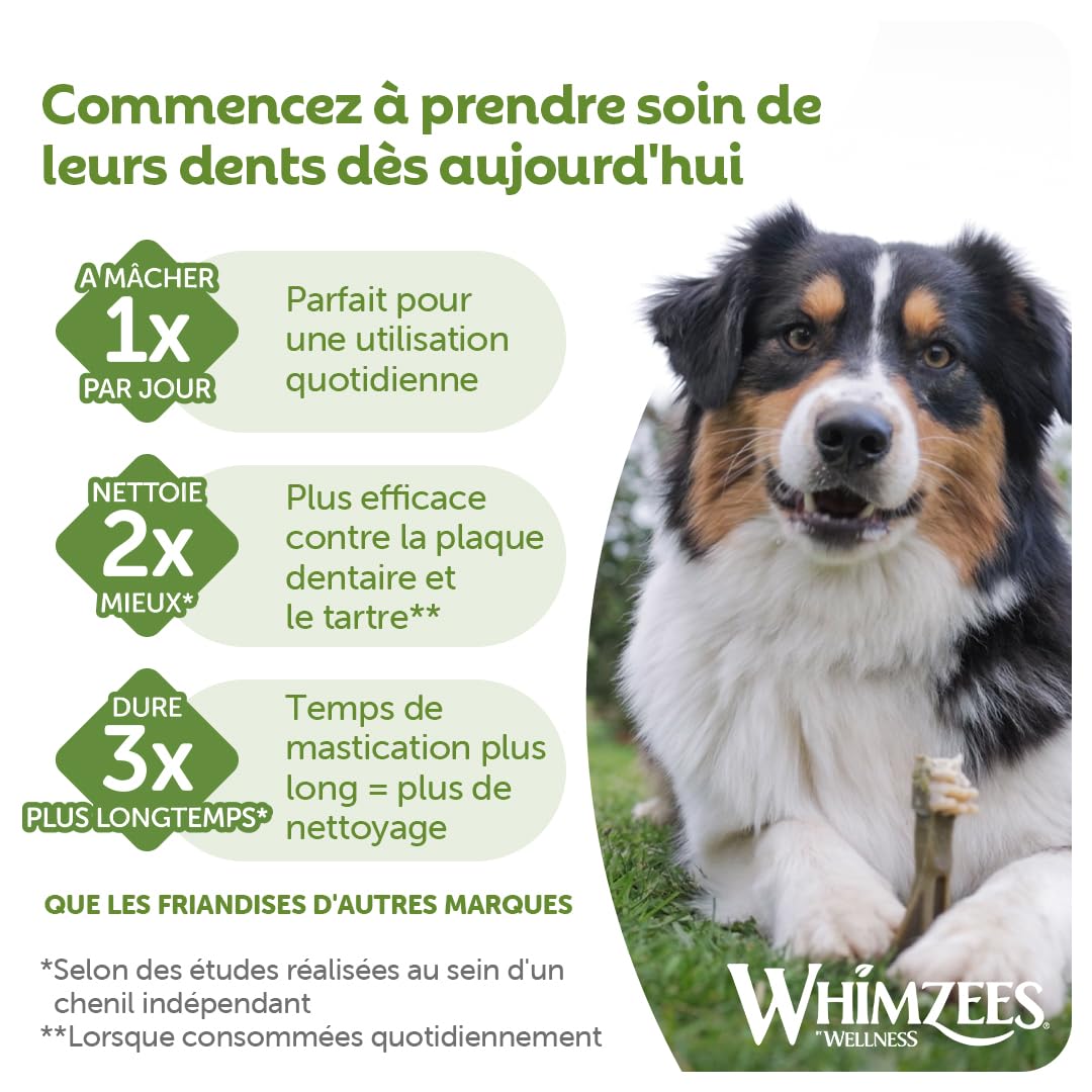 Chien mâchant Whimzees en extérieur pour mastication durable