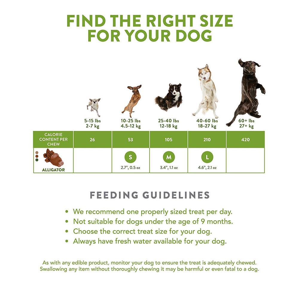 Hoiyen Whimzees comparaison taille avec main illustre portion adaptée chien moyen