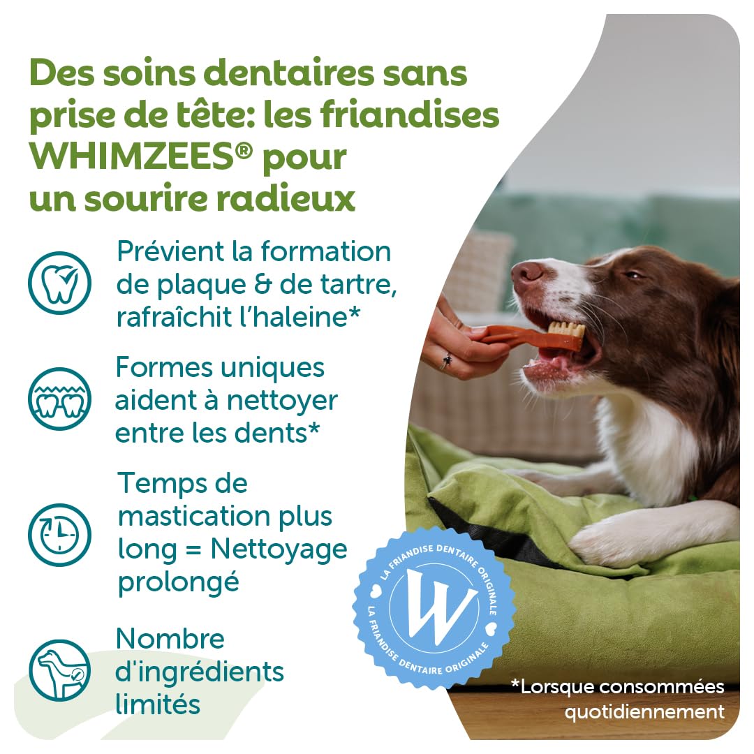 Whimzees friandise tenue en main pour évaluer la taille small