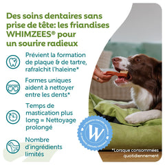 Whimzees friandise tenue en main pour évaluer la taille small