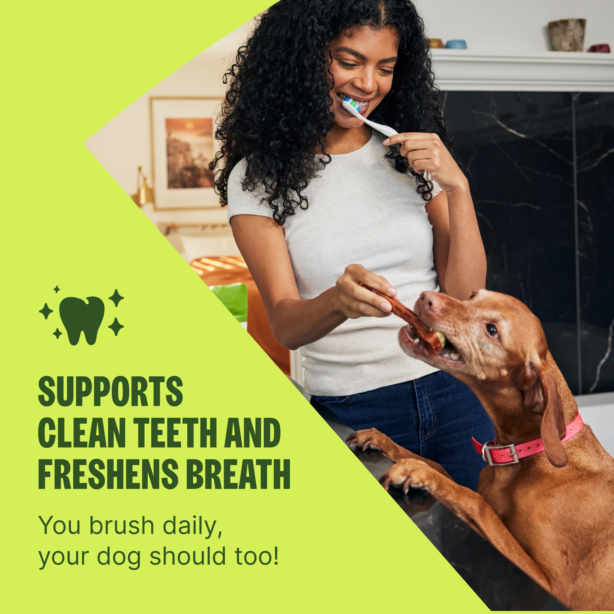 Whimzees friandise en main illustrant la taille idéale pour chiens moyens