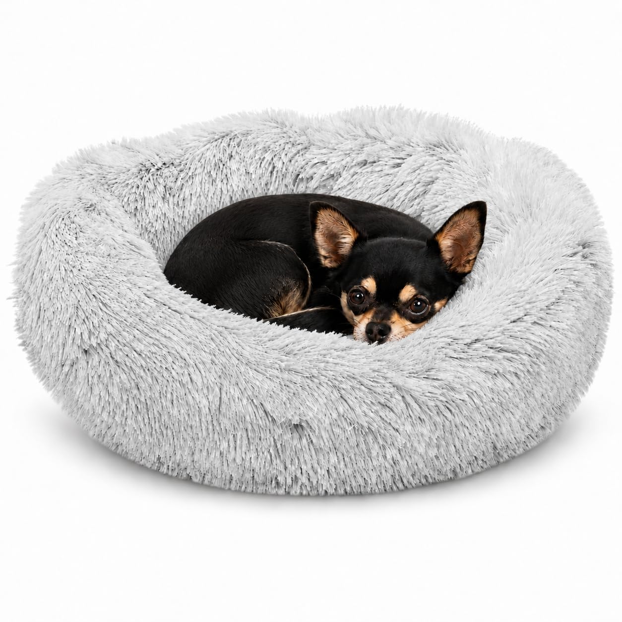 Whiskers & Friends vue face avant du panier montrant confort et accueil