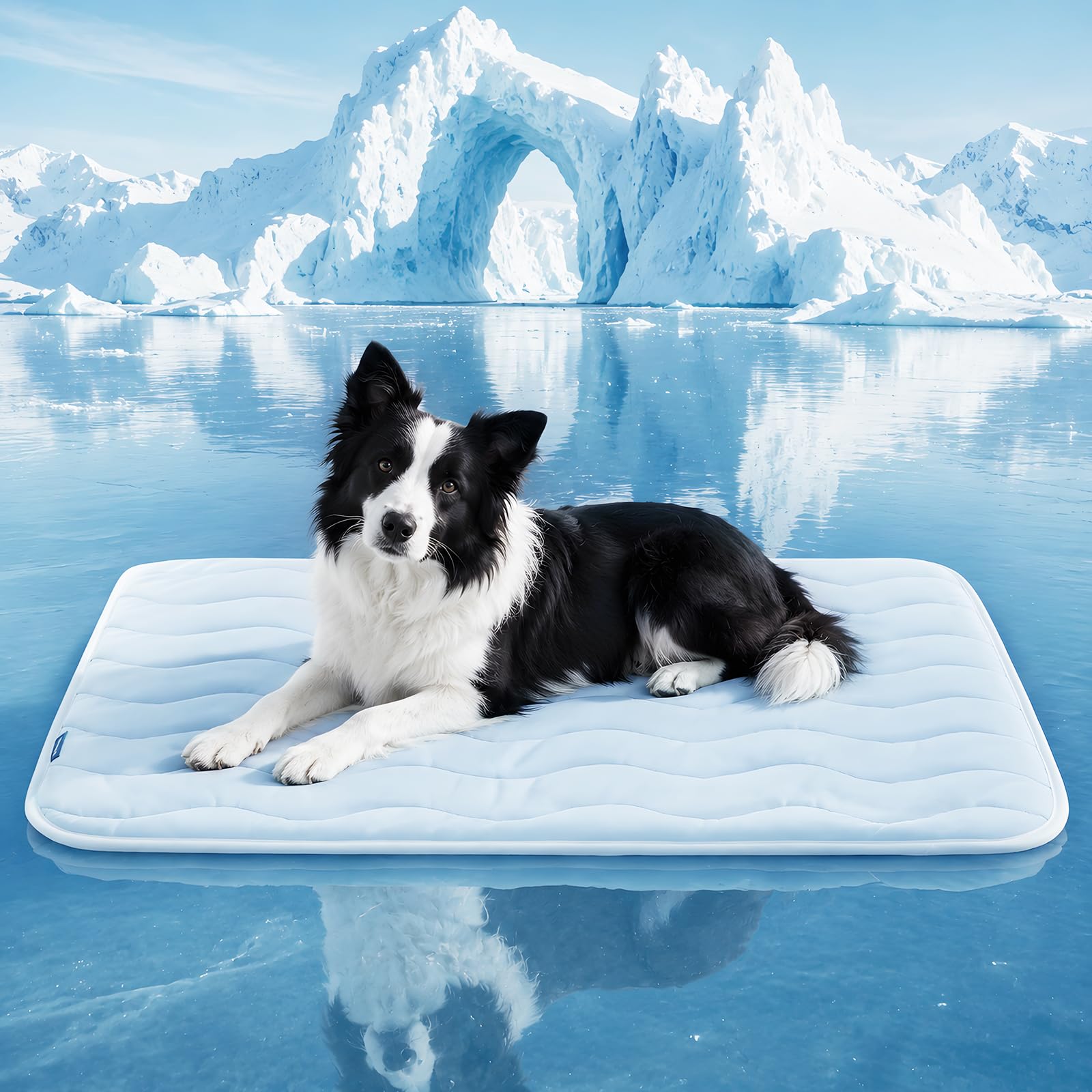 Whiskmiel tapis face avant affichant design et dimensions pour confort rapide