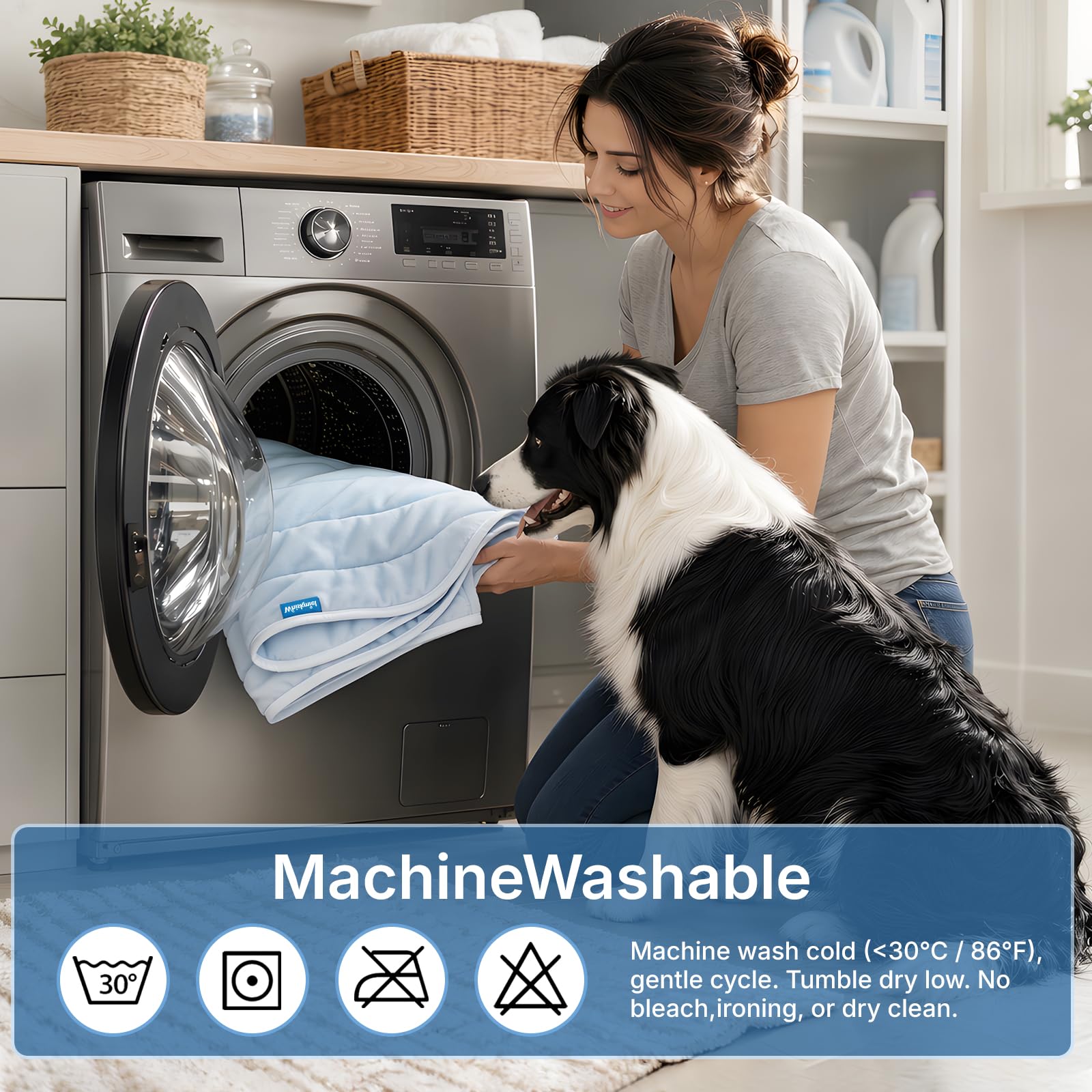 Whiskmiel chien allongé sur tapis illustrant repos frais et relaxant