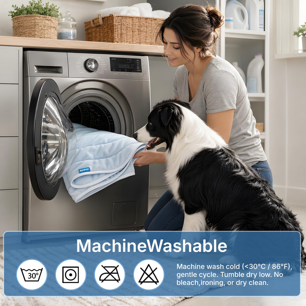 Whiskmiel chien allongé sur tapis illustrant repos frais et relaxant