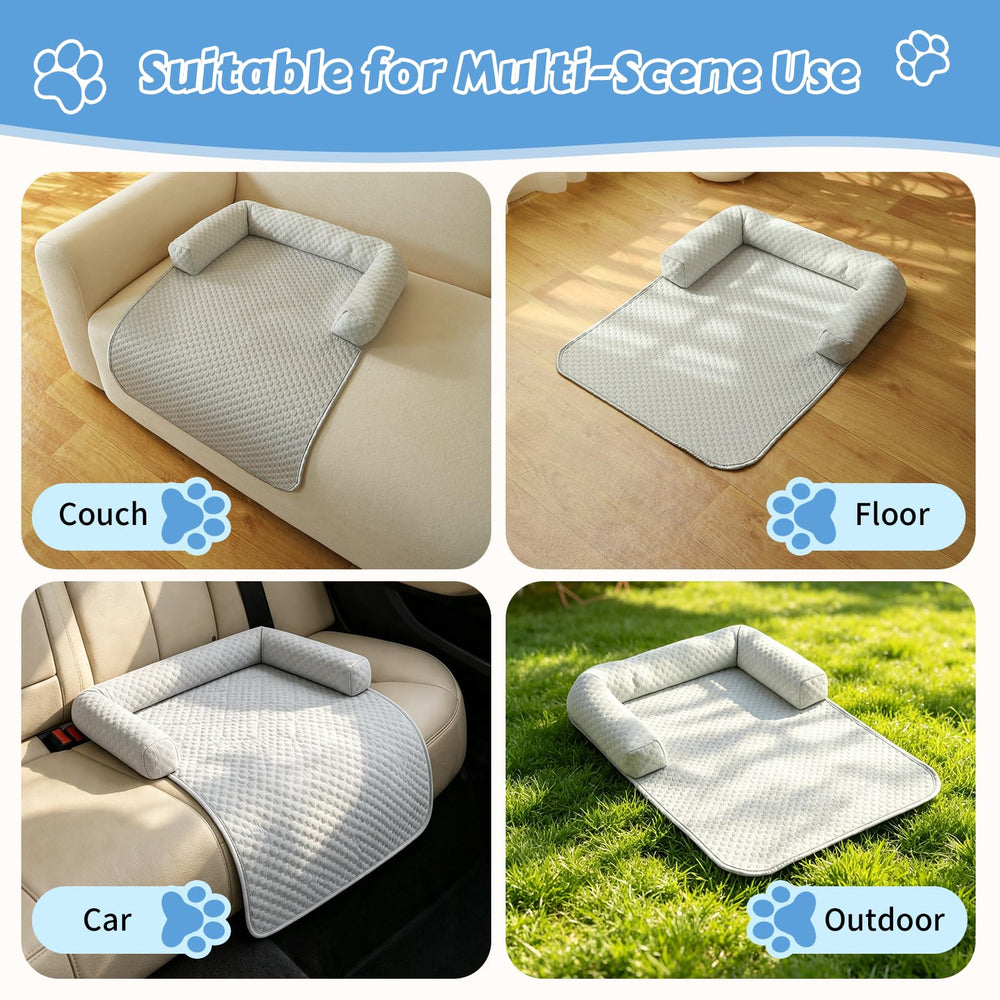 Whiskopia comparaison taille montrant dimensions adaptées chats et petits chiens