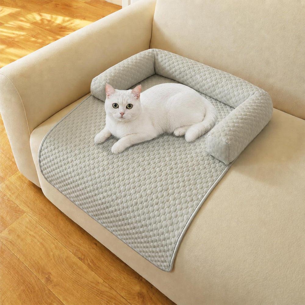 Whiskopia tapis devant gris montrant le design et protection du canapé
