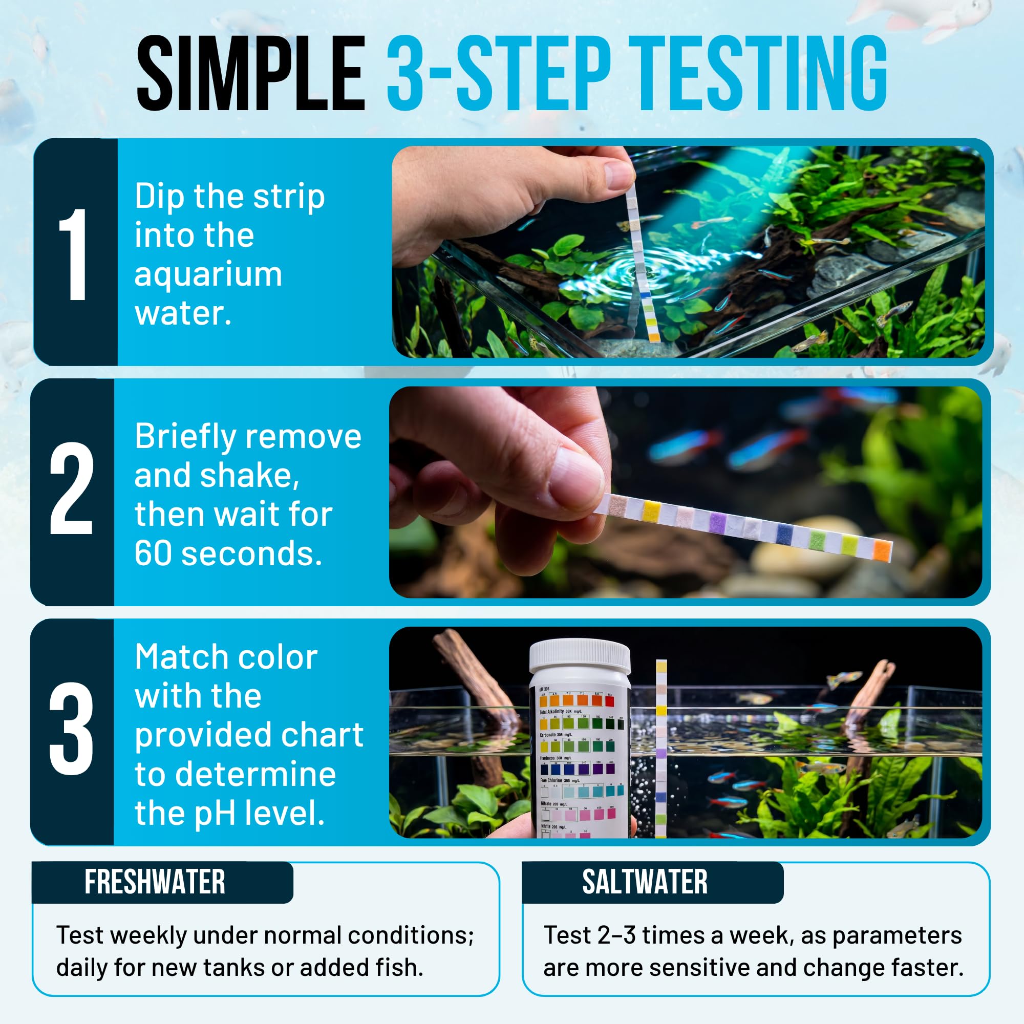 WHITE SHARK OCEAN bandelette plongée dans aquarium illustrant test rapide