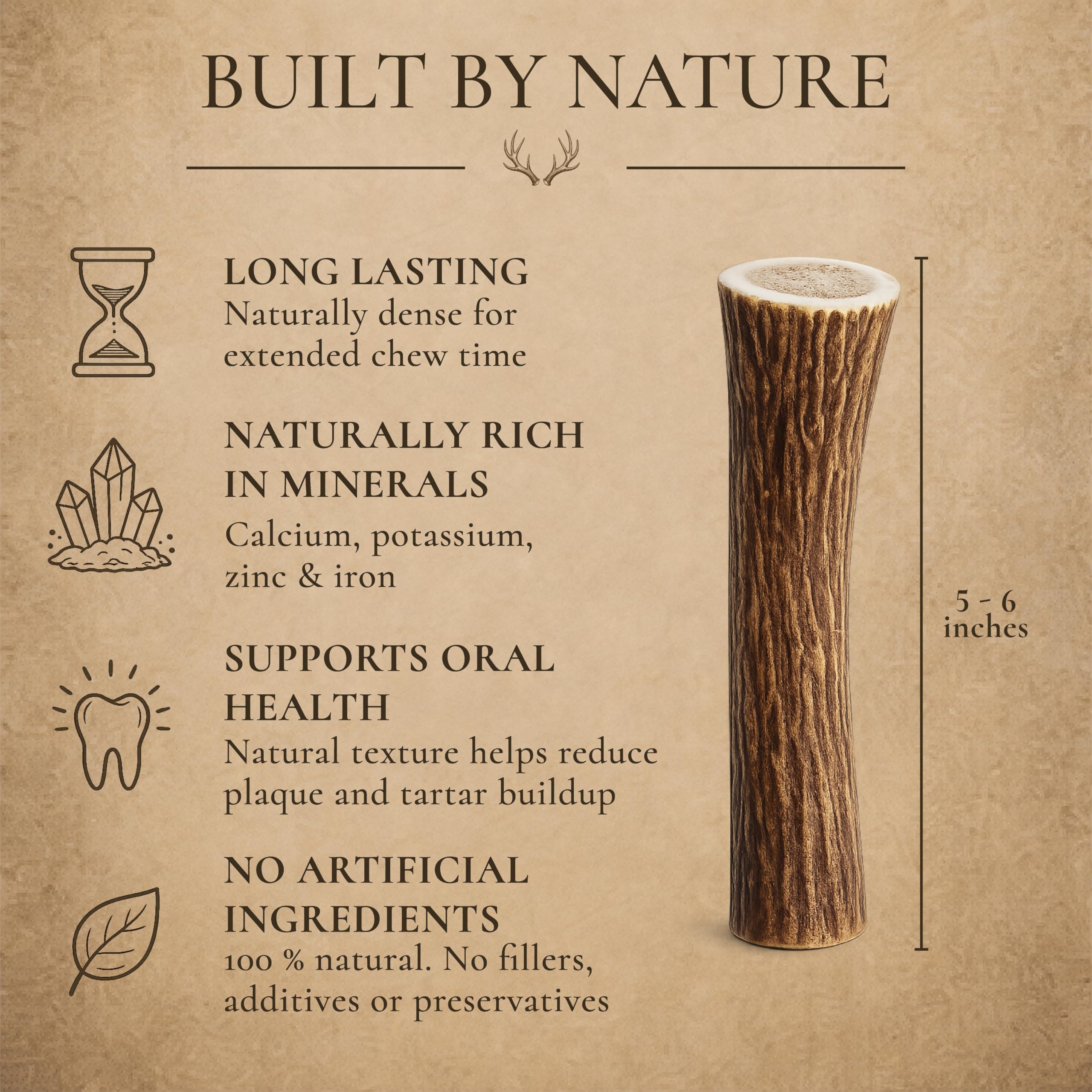 WhiteTail Naturals chien mâchant antler offrant stimulation longue durée