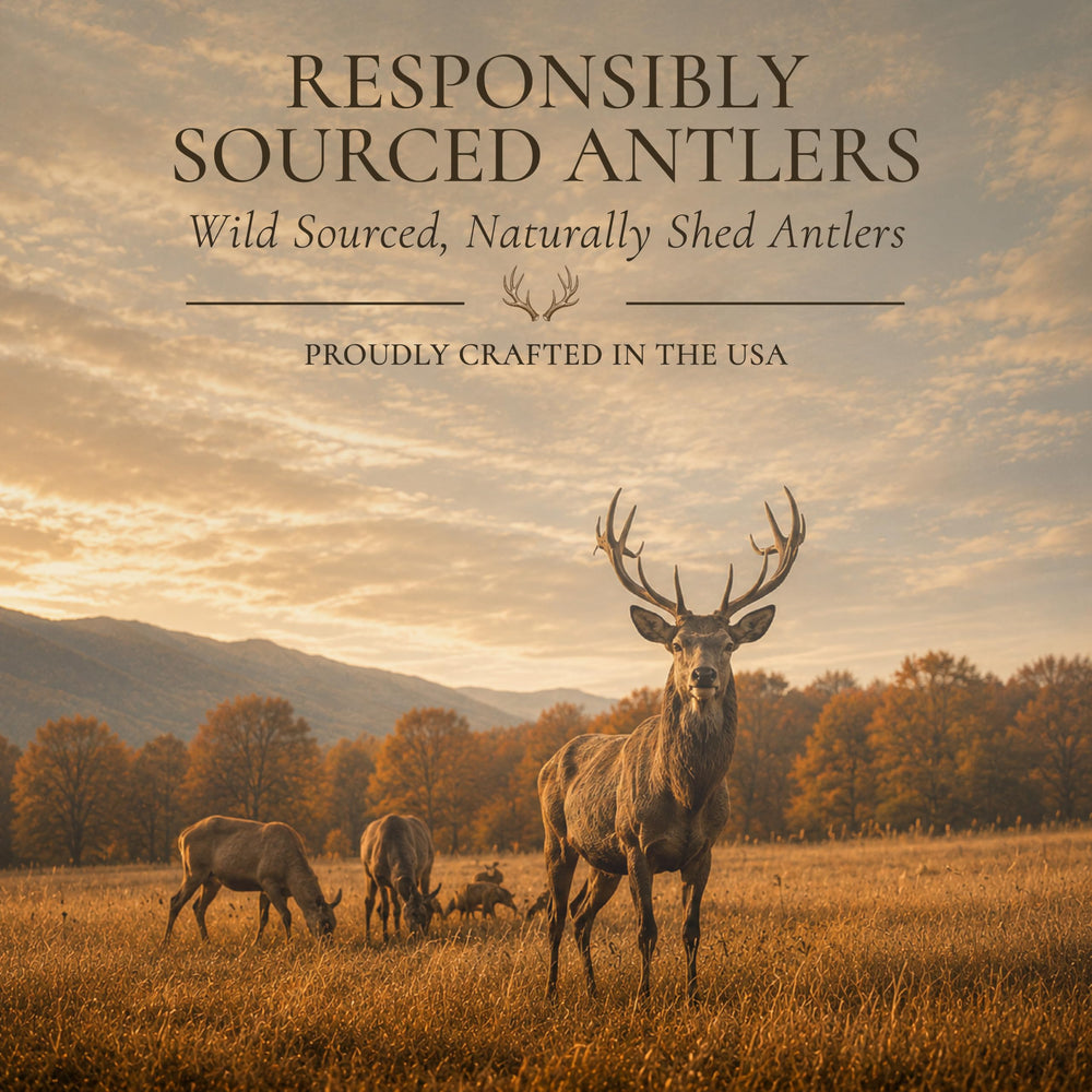 WhiteTail Naturals gros plan sur texture d'antler montrant solidité naturelle