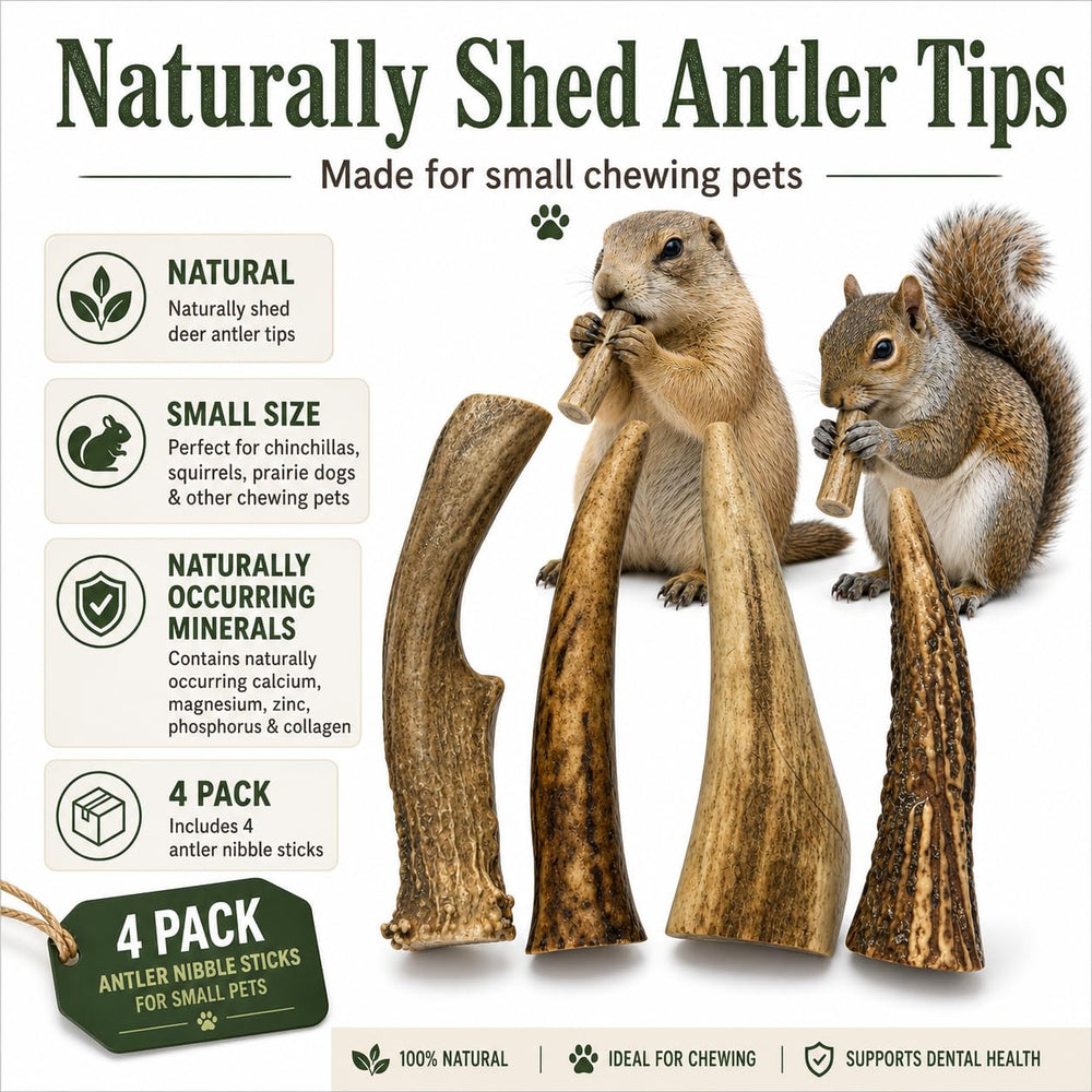 WhiteTail Naturals gros plan sur la texture d'un andouiller, durabilité et résistance