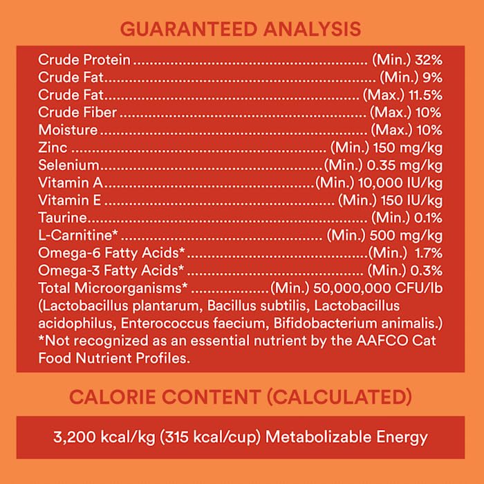 WholeHearted chat mangeant en cuisine bénéfice satiété et énergie