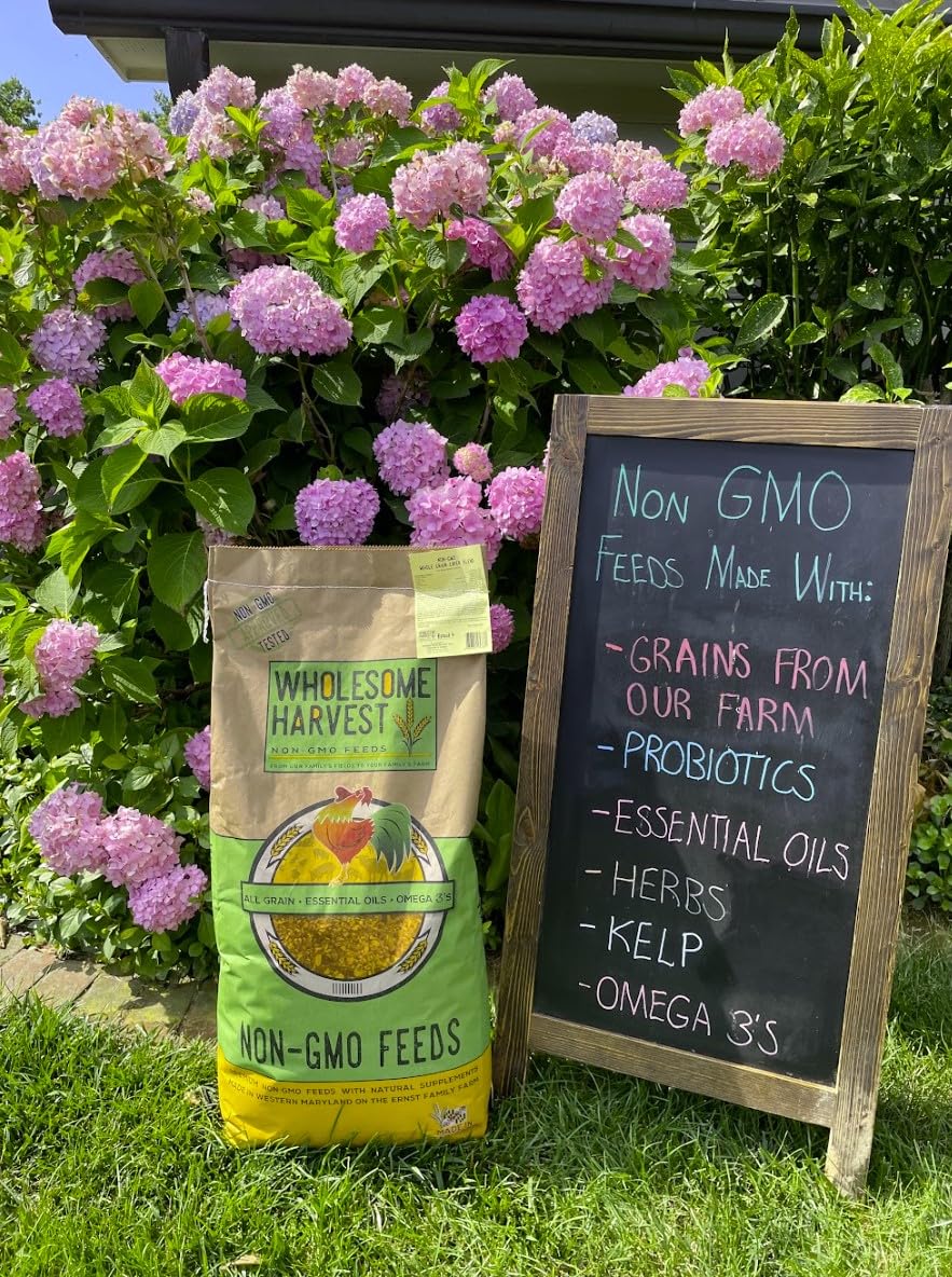 Wholesome Harvest étiquette nutritionnelle montrant protéines et calcium