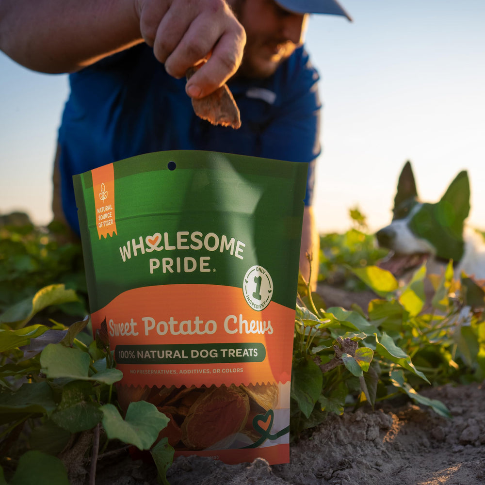 Wholesome Pride sourcing production montrant patates fraîches et responsabilité