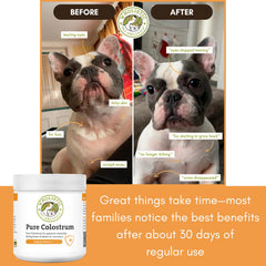Wholistic Pet Organics poudre mélangée aux croquettes bénéfice administration simple