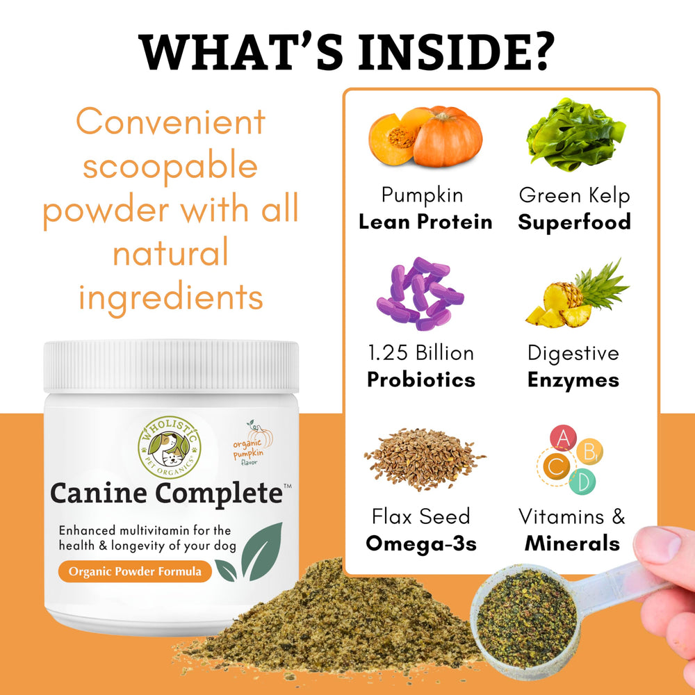 Wholistic Pet Organics poudre saupoudrée sur croquettes pour une meilleure digestion