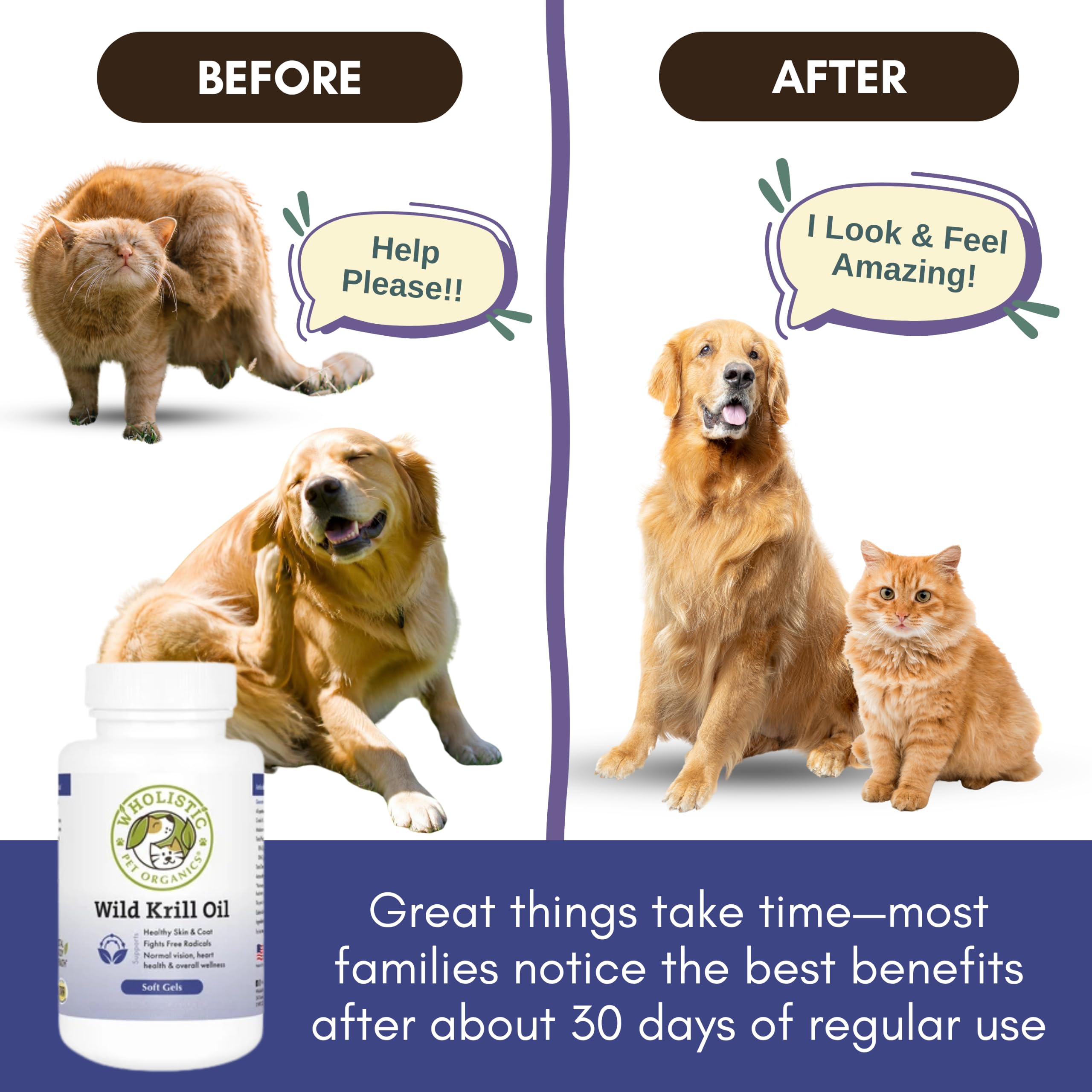 Wholistic Pet Organics capsule ajoutée au bol pour acceptation rapide