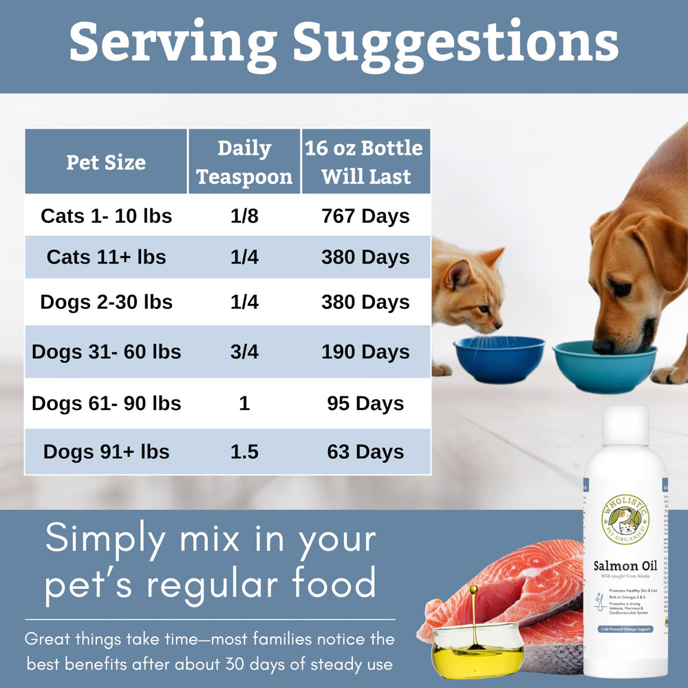 Wholistic Pet Organics bouteille comparée à une main pour évaluer le volume