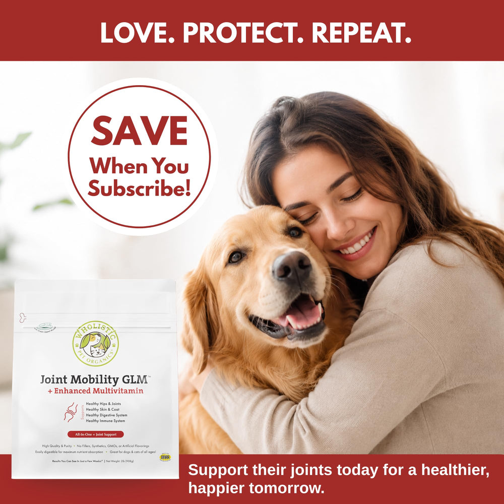 Wholistic Pet Organics chat en gamelle mangeant facilement mélange savoureux
