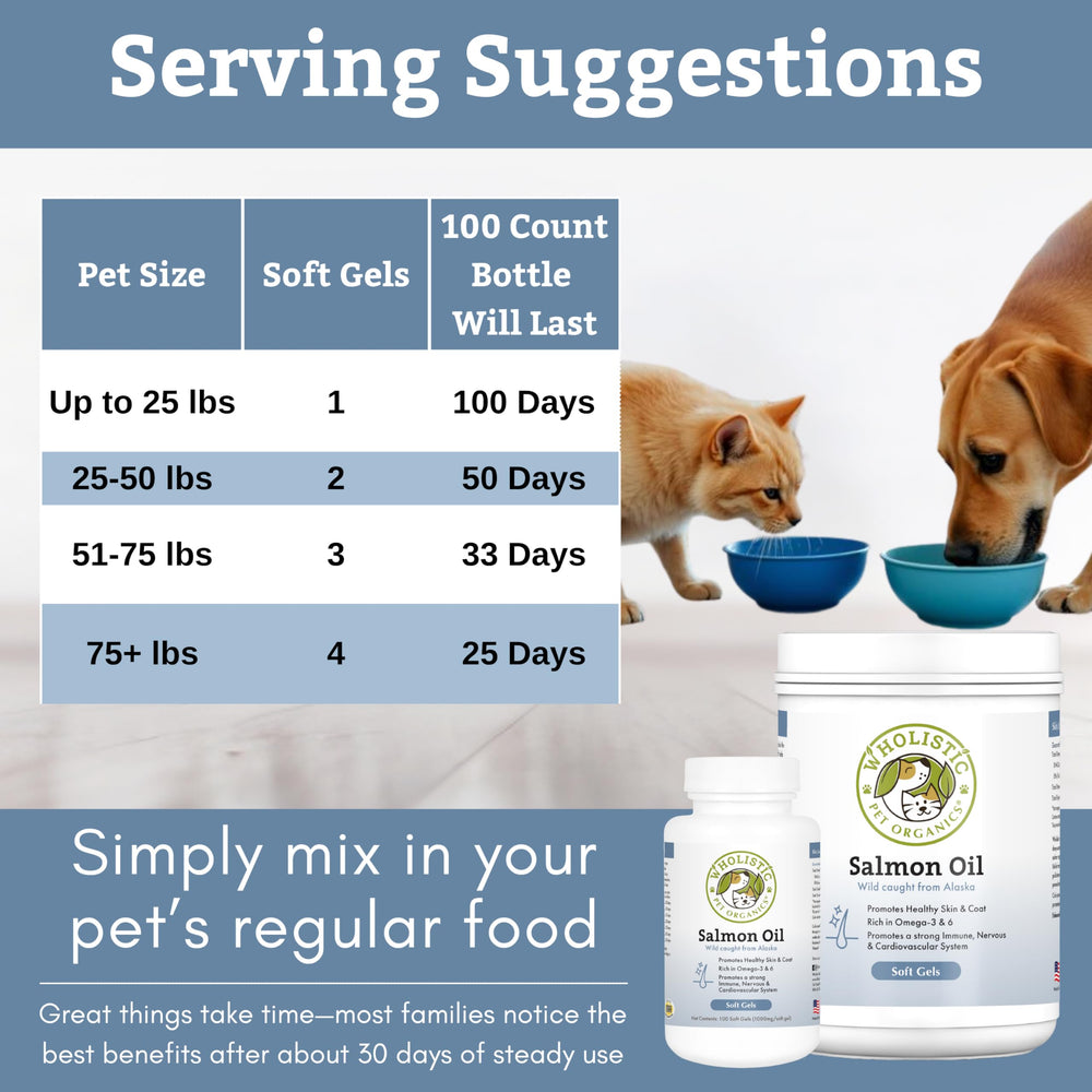 Wholistic Pet Organics chat en bonne santé acceptant le softgel facilement