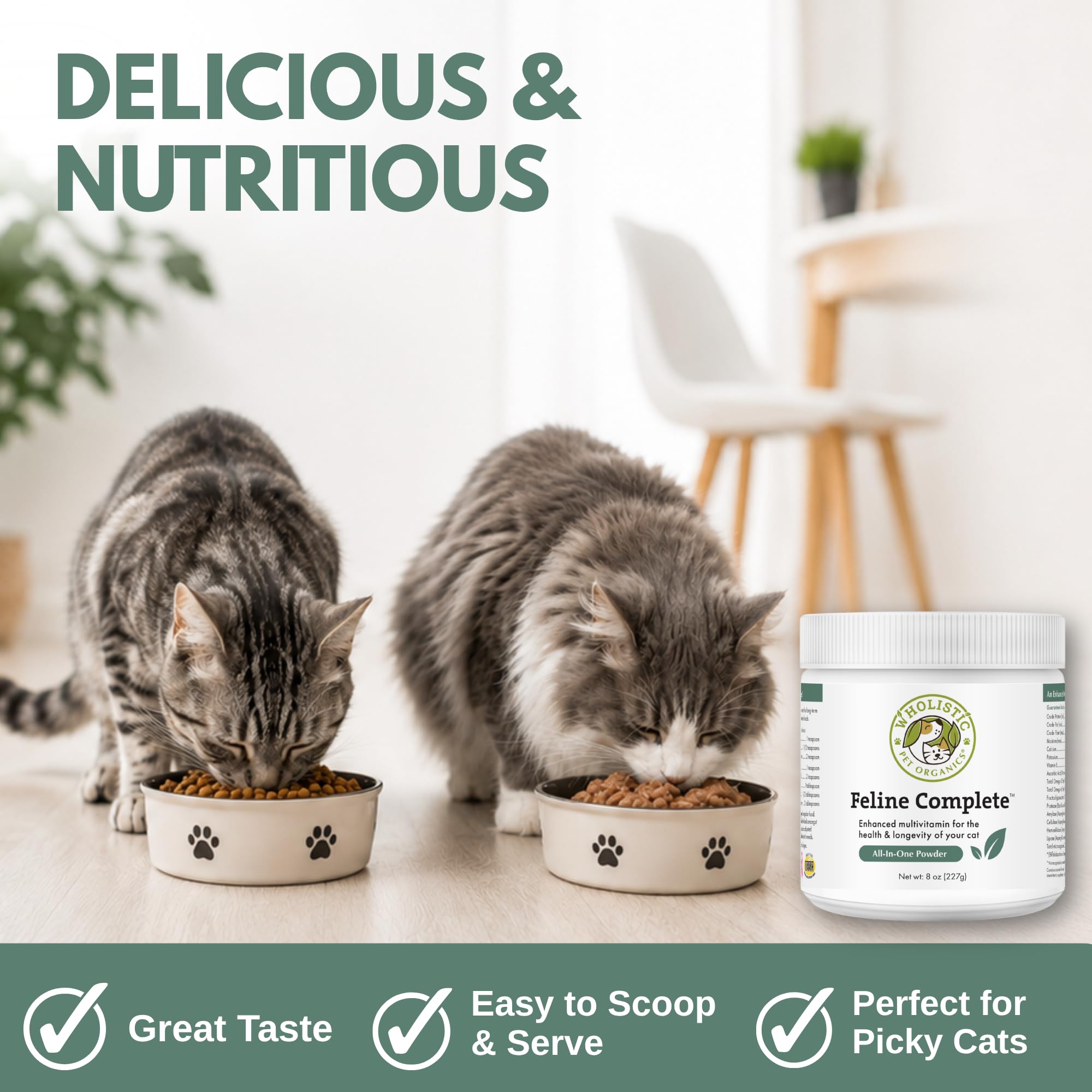 Wholistic Pet Organics chaton mangeant nourriture enrichie pour croissance saine