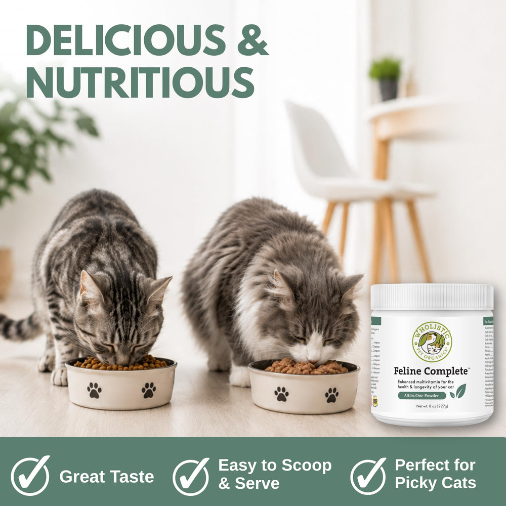 Wholistic Pet Organics chaton mangeant nourriture enrichie pour croissance saine