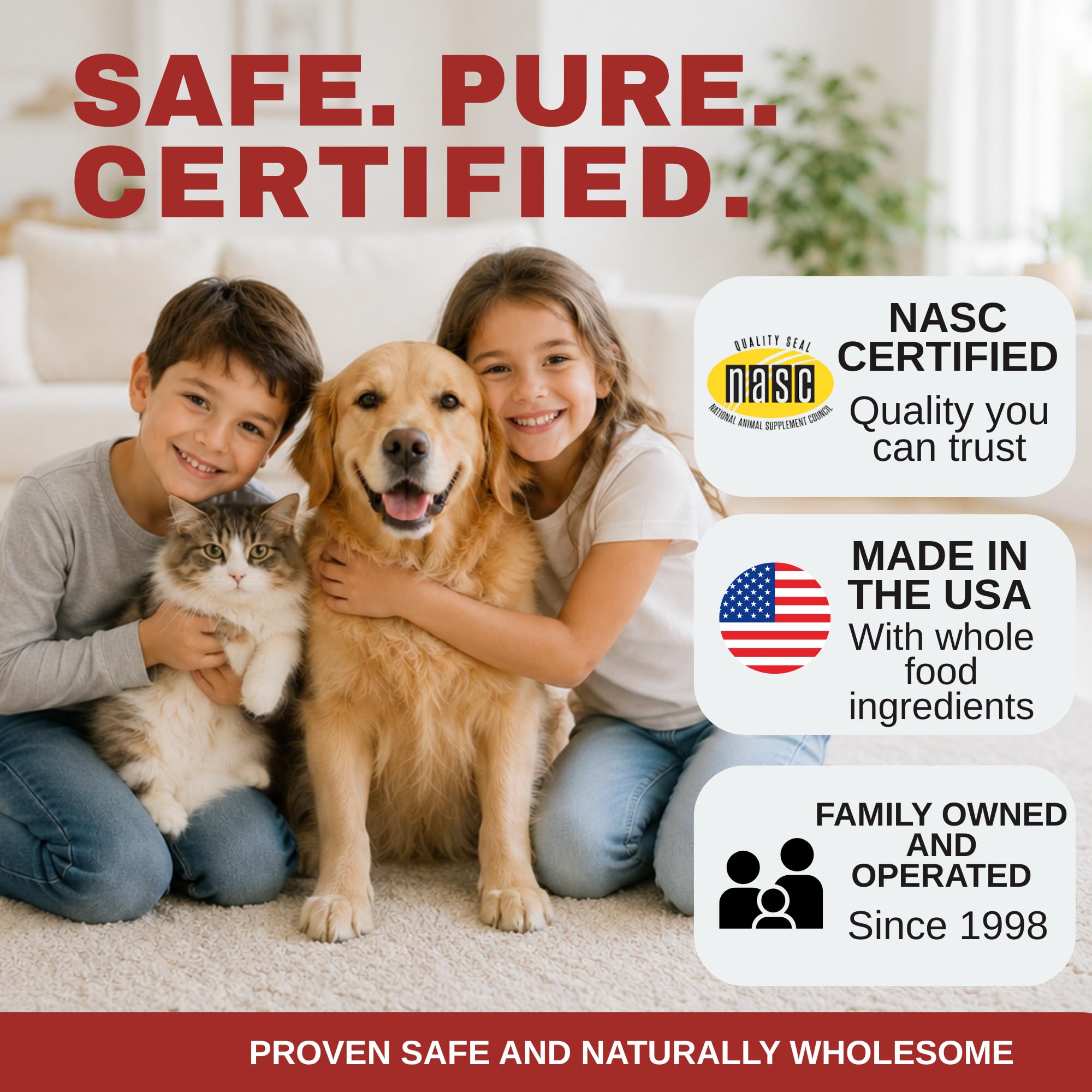 Wholistic Pet Organics chien actif courant illustrant soutien mobilité et confort