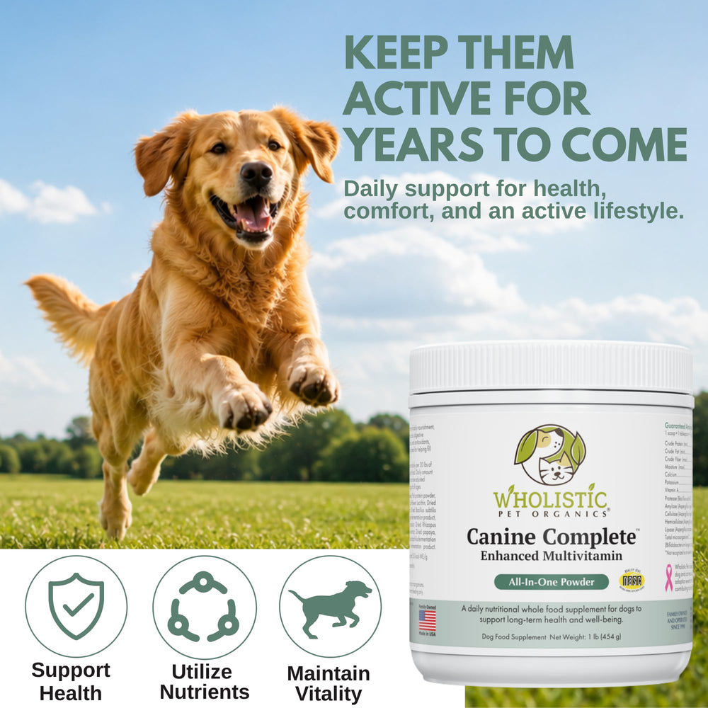 Wholistic Pet Organics chien adulte appréciant repas supplémenté pour santé continue