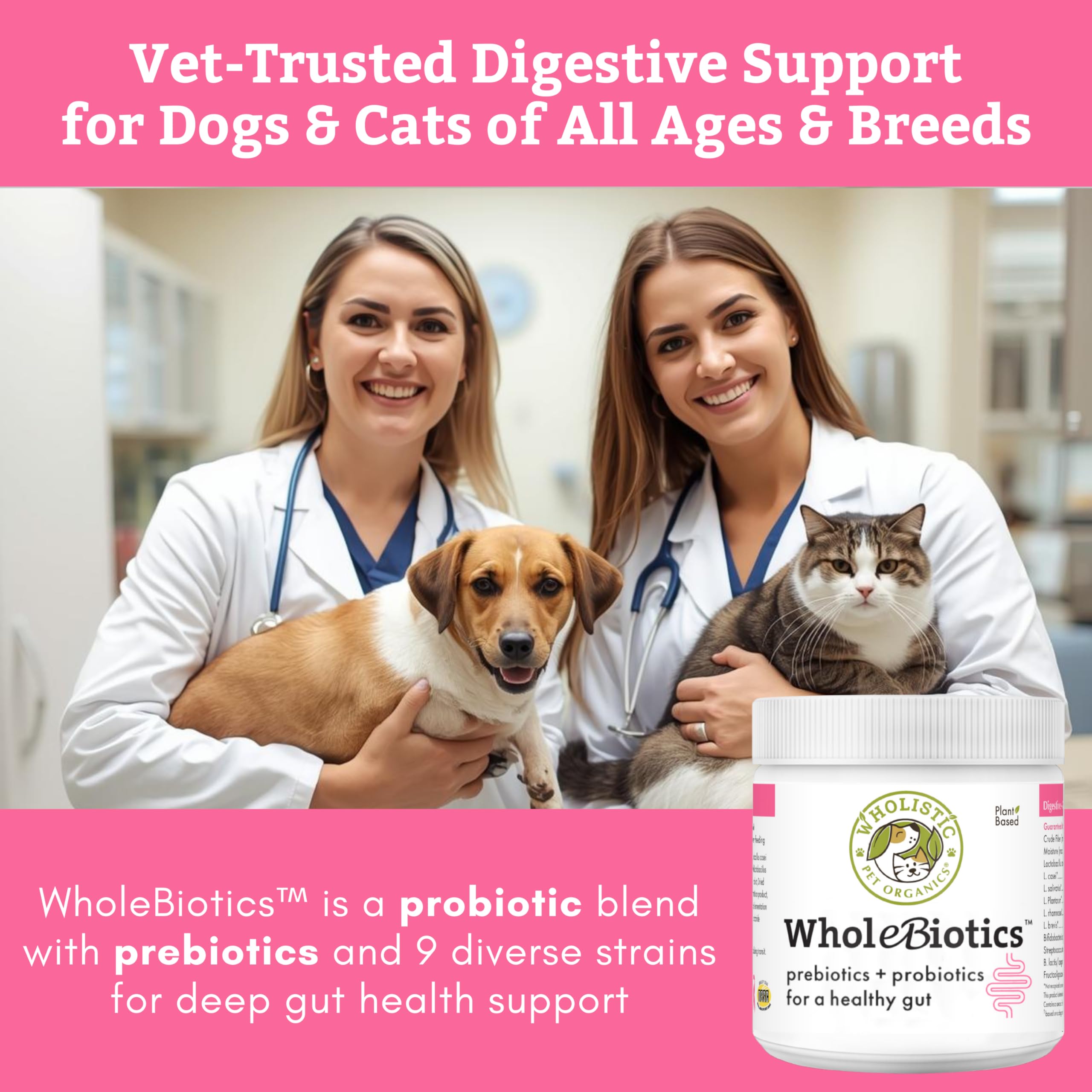 Wholistic Pet Organics chien prenant son repas avec meilleur équilibre intestinal