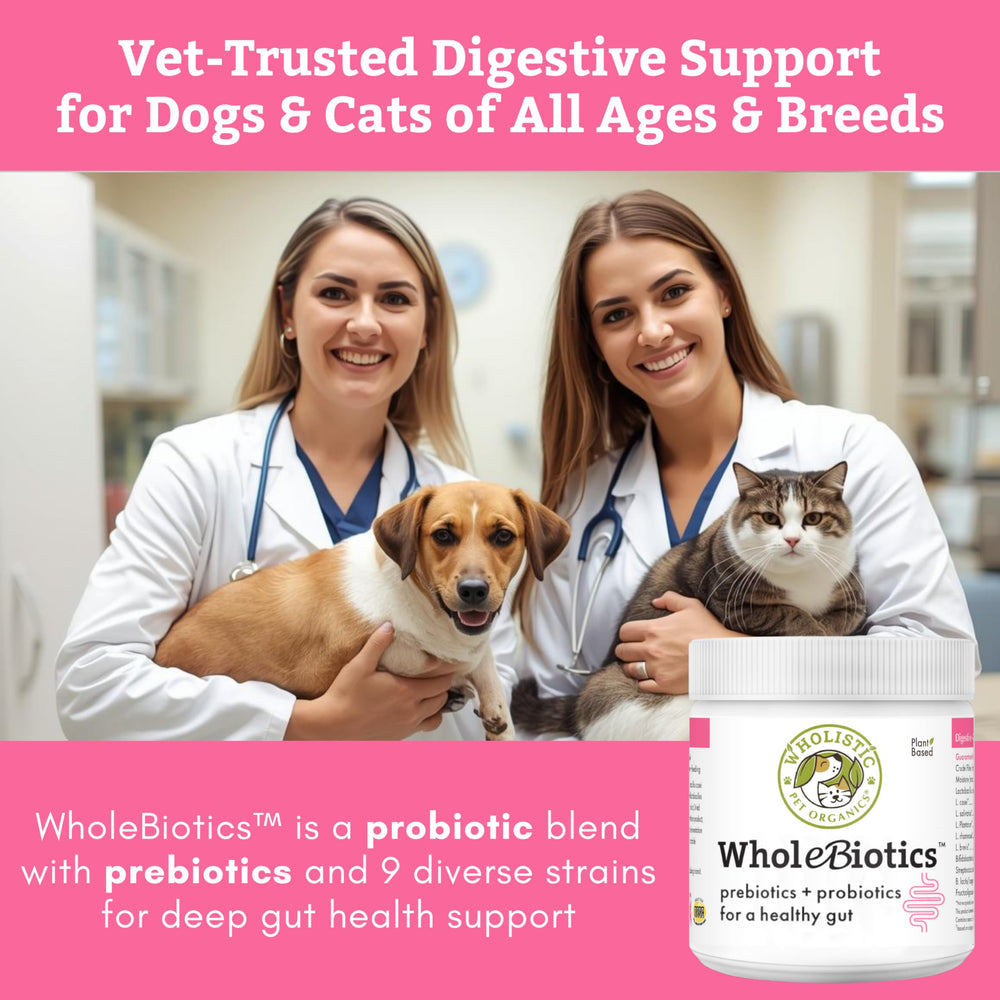 Wholistic Pet Organics chien prenant son repas avec meilleur équilibre intestinal