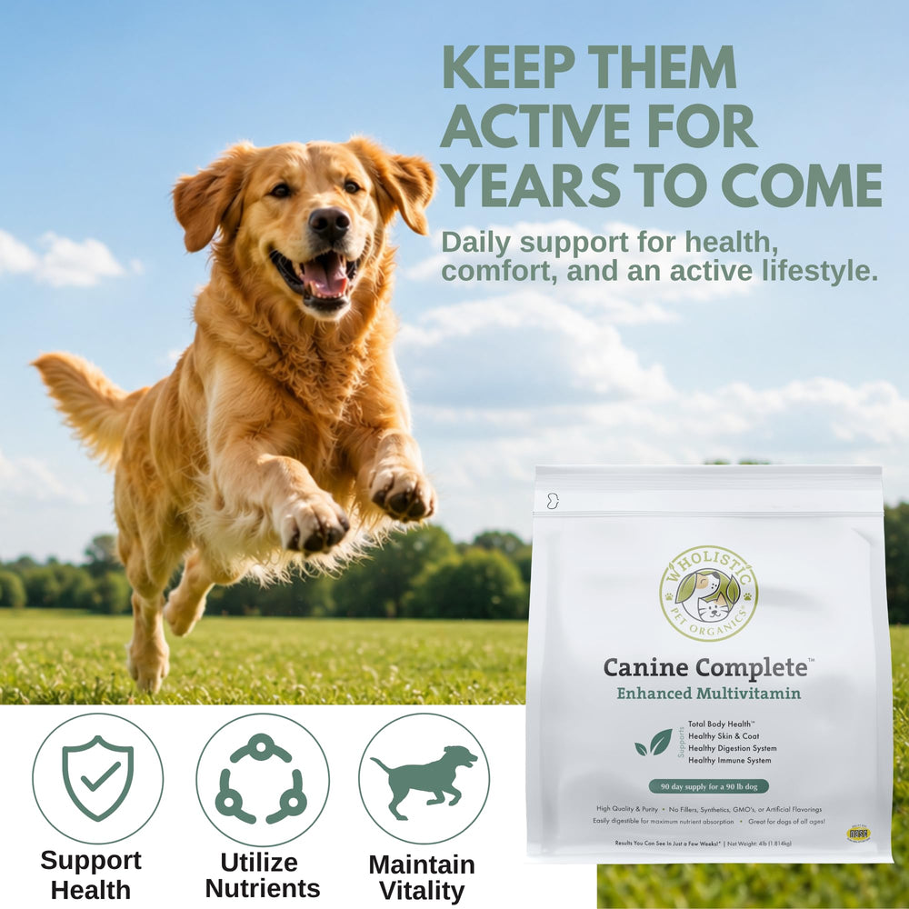 Wholistic Pet Organics pot à côté d’un ruban métrique, montre échelle réelle
