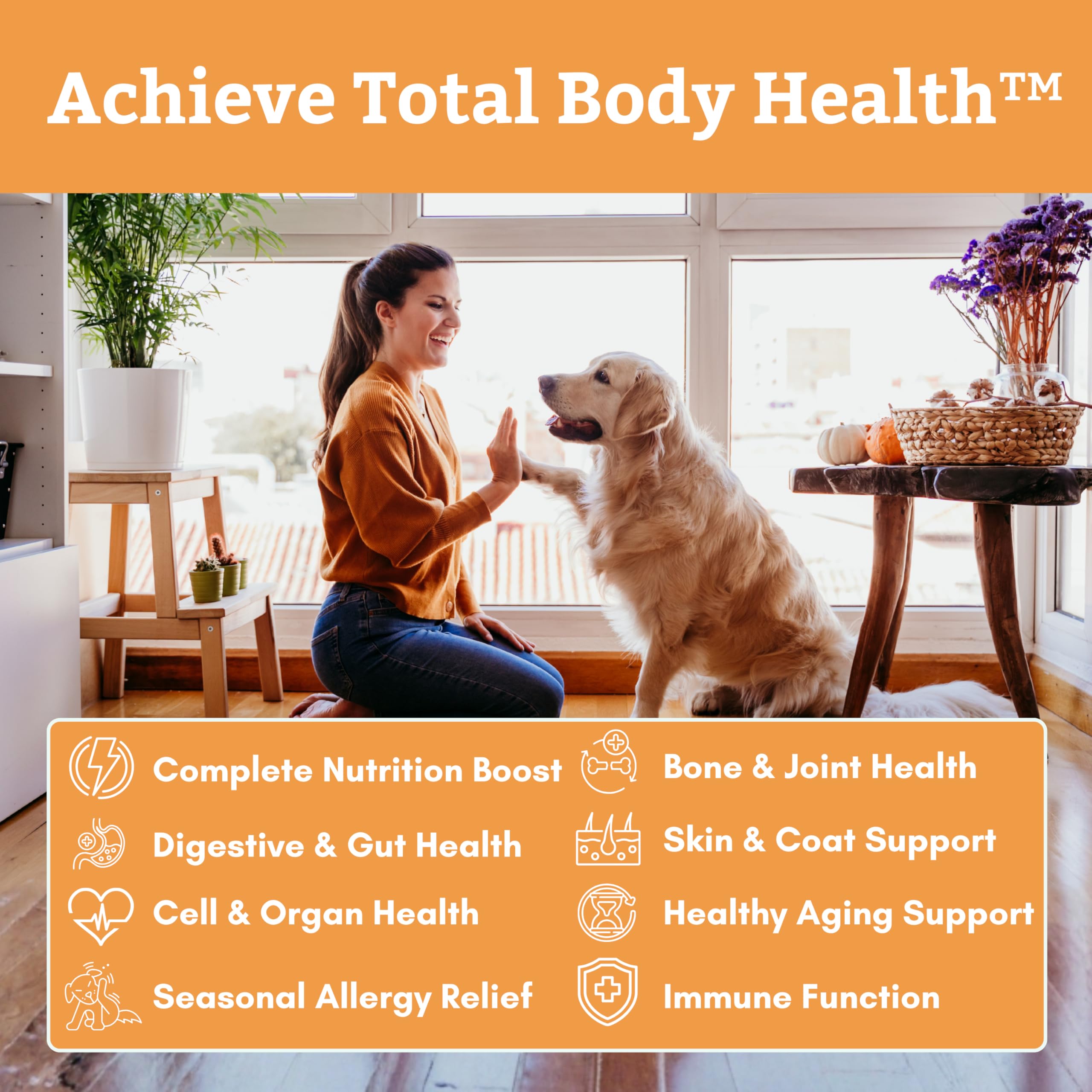 Wholistic Pet Organics mélangée à nourriture maison améliorant nutrition quotidienne