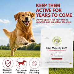 Wholistic Pet Organics poudre mélangée à nourriture pour prise quotidienne simple