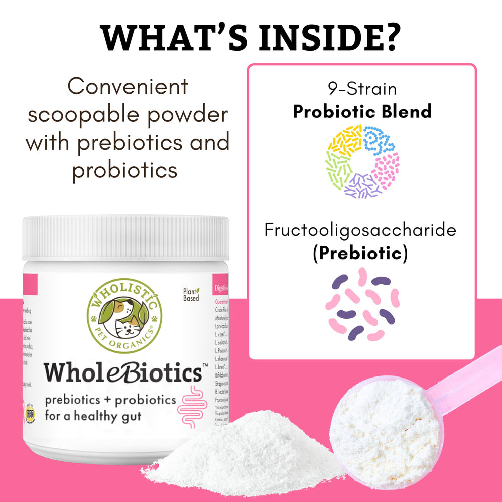 Wholistic Pet Organics poudre en gros plan montrant texture fine bénéfique