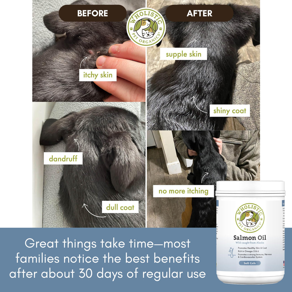 Wholistic Pet Organics softgel ouvert révélant huile protégée et fraîche