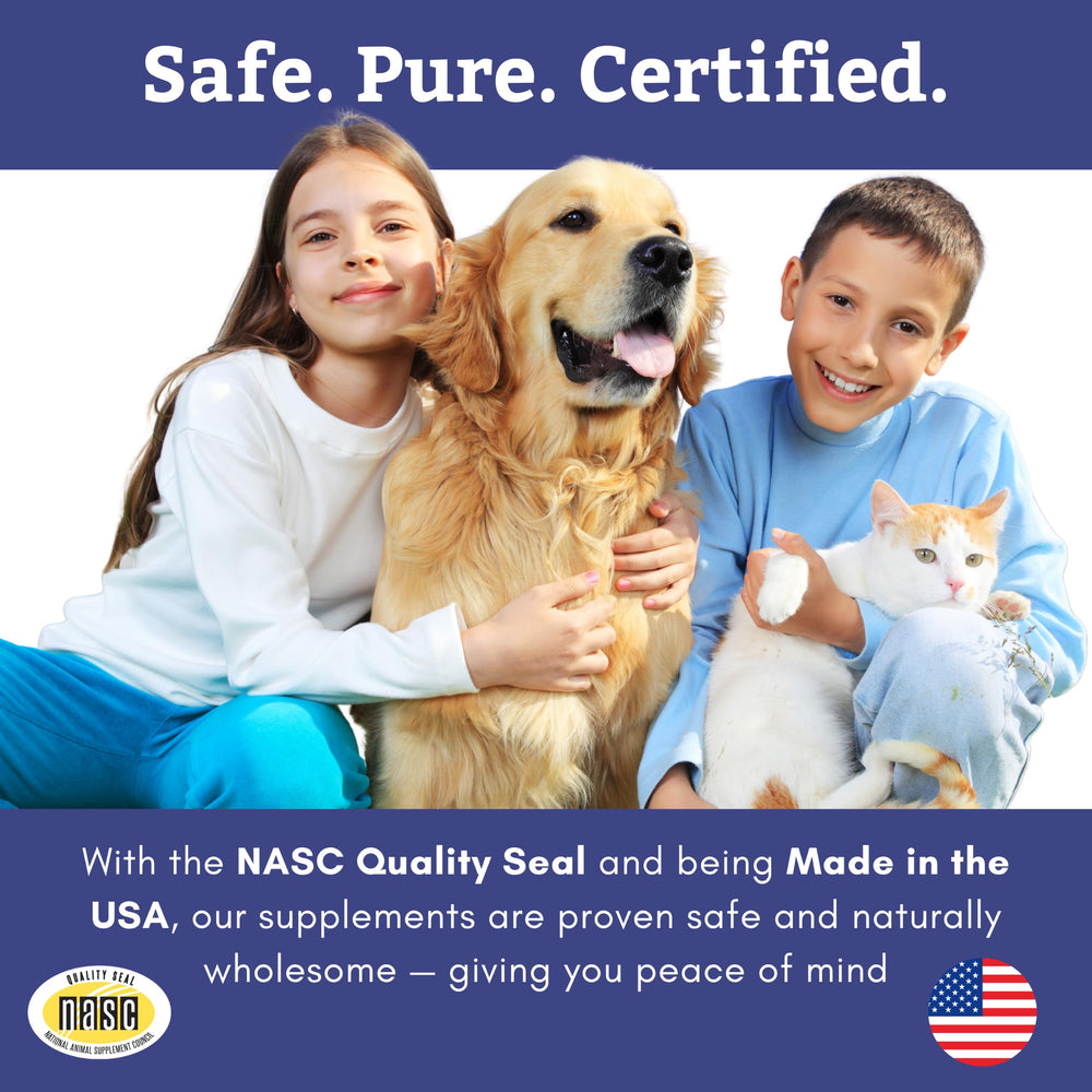 Wholistic Pet Organics ambiance cuisine, usage quotidien simple