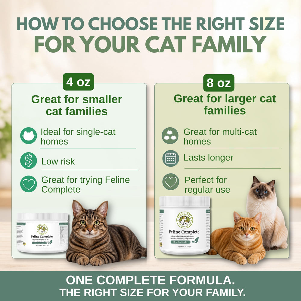 Wholistic Pet Organics chat senior se reposant montrant soutien pour aînés
