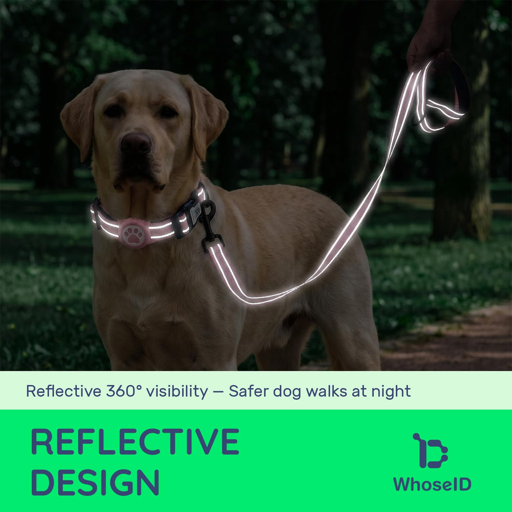 WhoseID chien en laisse la nuit avec bande réfléchissante visible