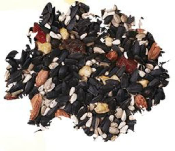 Wild Delight gros plan sur fruits et graines pour attirer plus d'oiseaux