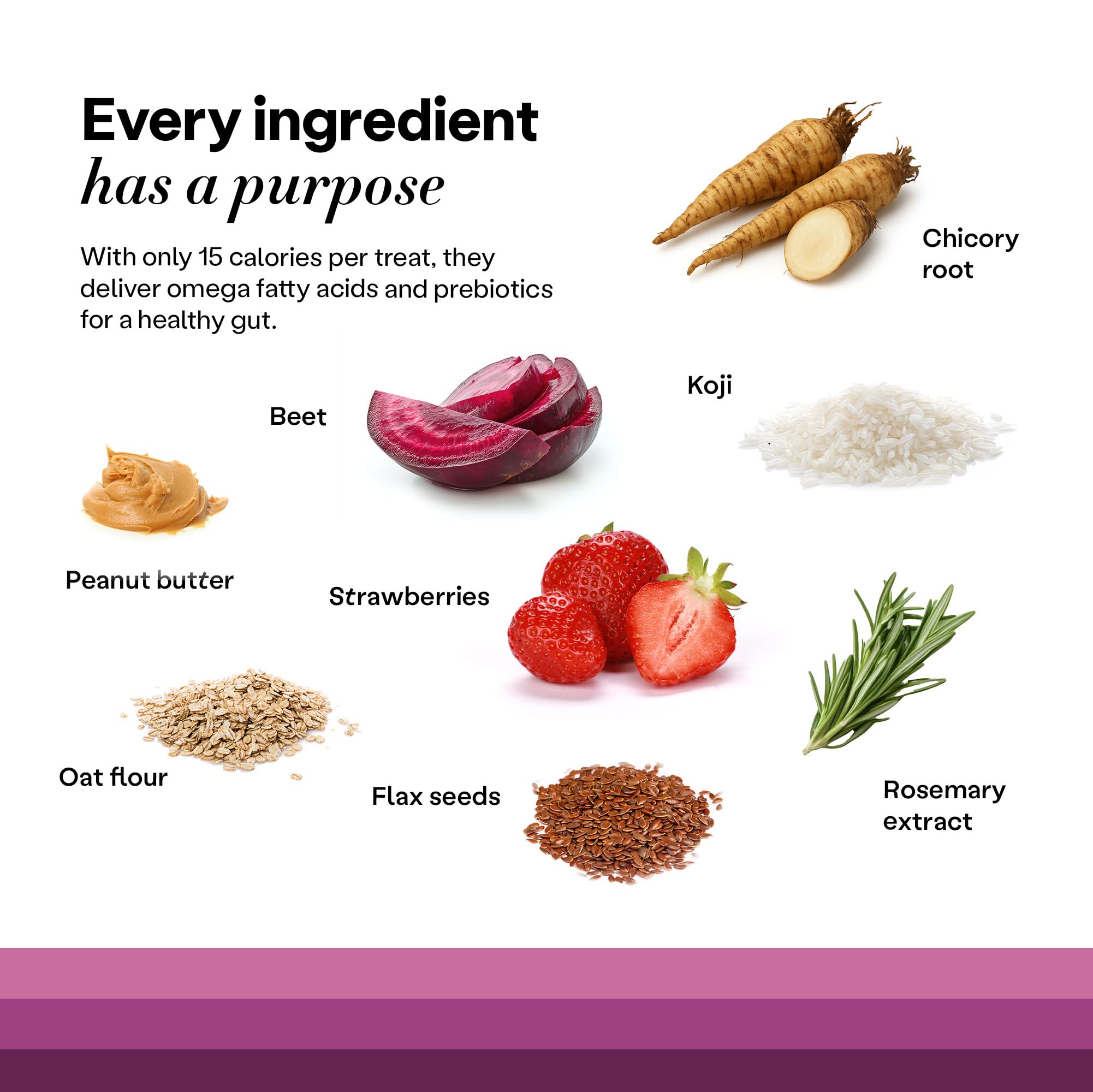 Wild Earth graphique comparatif calories mettant en avant contrôle des portions