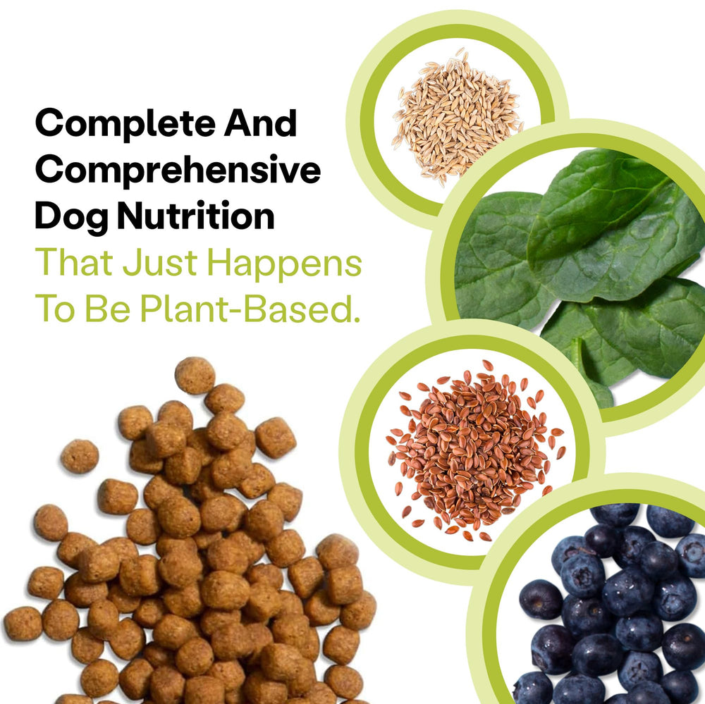 Wild Earth ingrédients superfood (épinard, potiron) montrant nutriments naturels