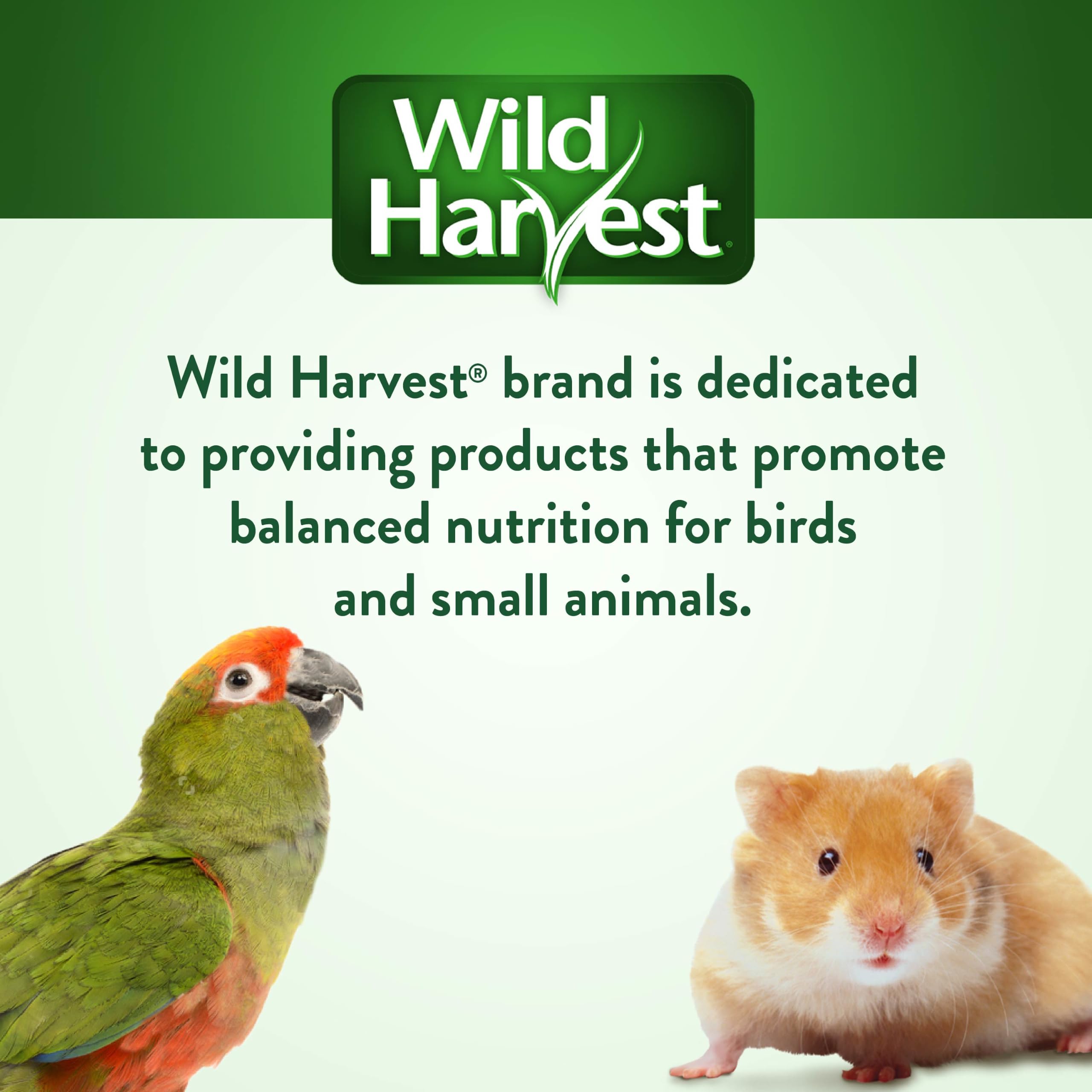 Wild Harvest sachet ouvert dans conteneur pour conservation optimale