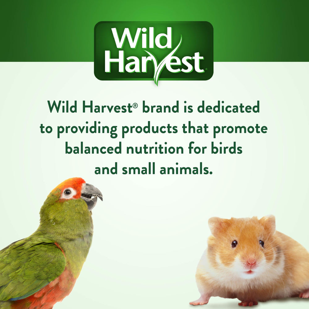 Wild Harvest sachet ouvert dans conteneur pour conservation optimale