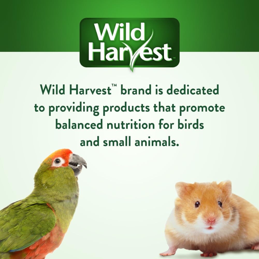 Wild Harvest produit en cage montrant oiseau consommant mélange appétissant