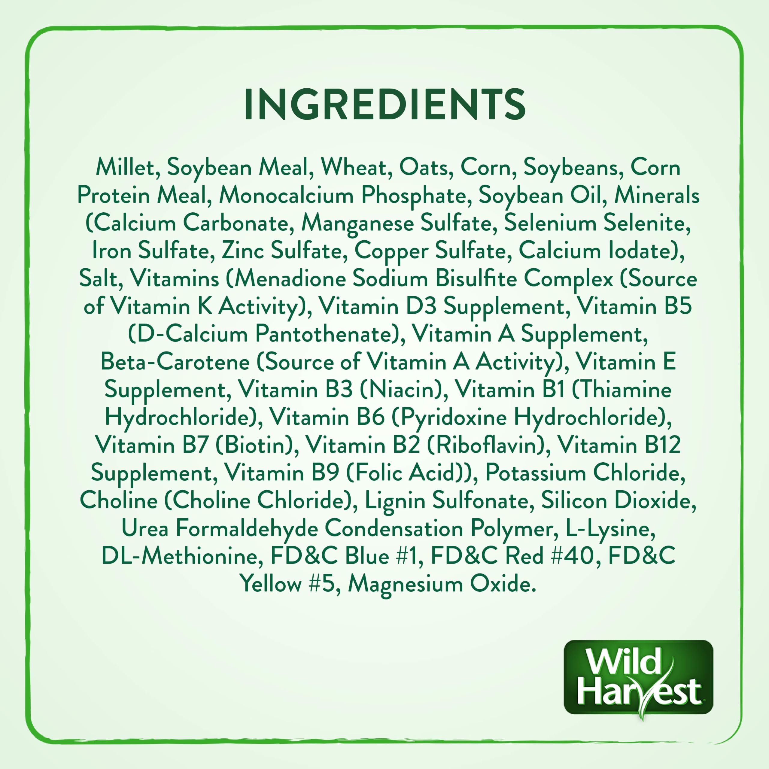 Wild Harvest petit oiseau mangeant montrant acceptation et plaisir