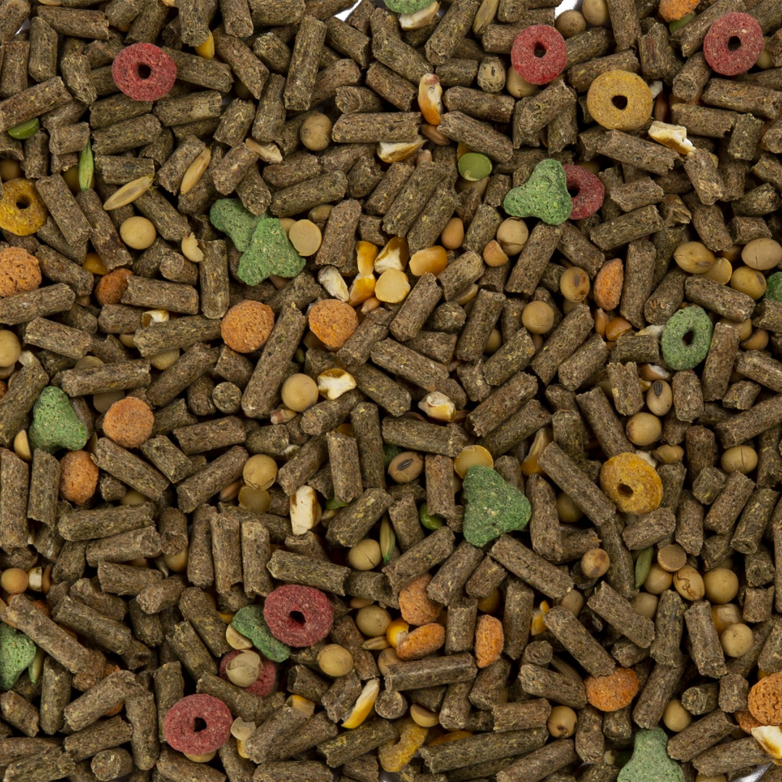 Wild Harvest nourriture servie dans une cage stimulant le comportement