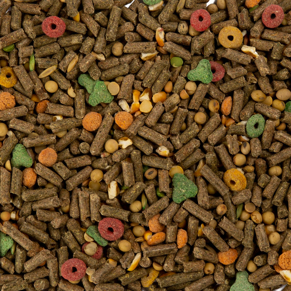 Wild Harvest nourriture servie dans une cage stimulant le comportement